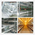 Broiler and Layer Cages for Poultry Farm